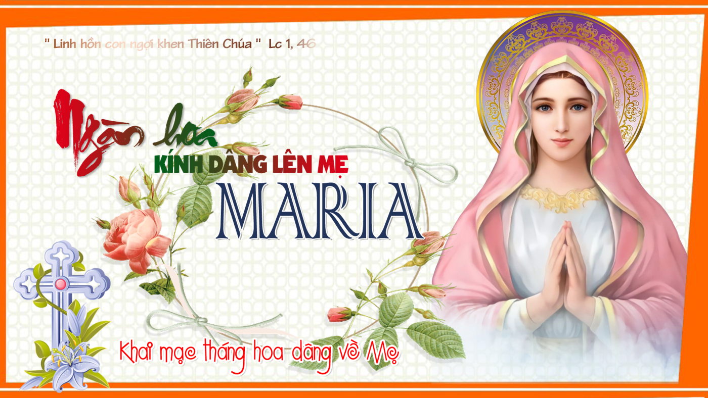 Banner DANG HOA W