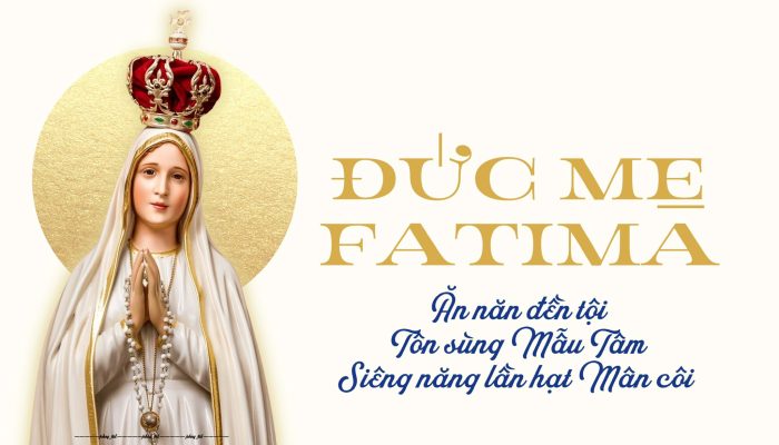 495572291 689035530344717 9206589270987601052 n